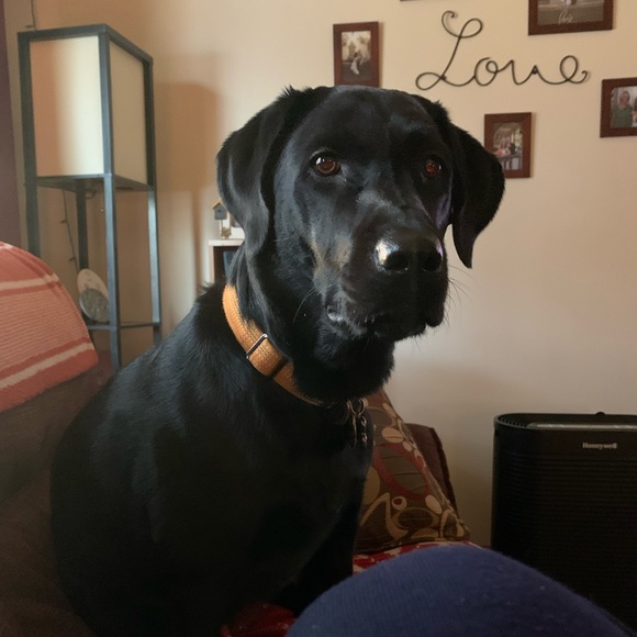 Meet your Posher, Meagan - Picture 2 of 2